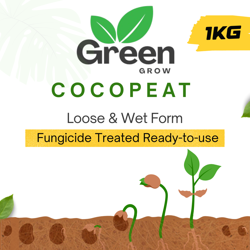 Cocopeat for Plants | Loose Cocopeat | fungicide treated ready to use wet cocopeat
