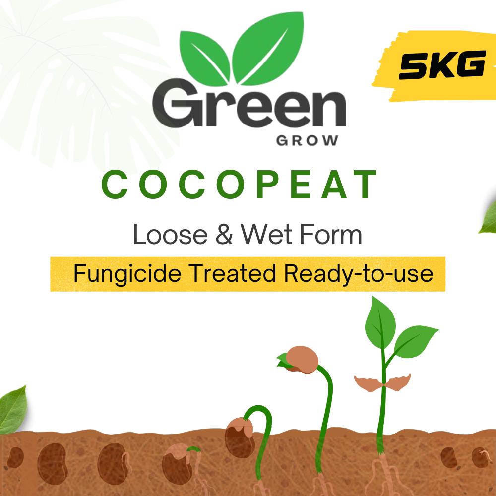 Cocopeat for Plants | Loose Cocopeat | fungicide treated ready to use wet cocopeat