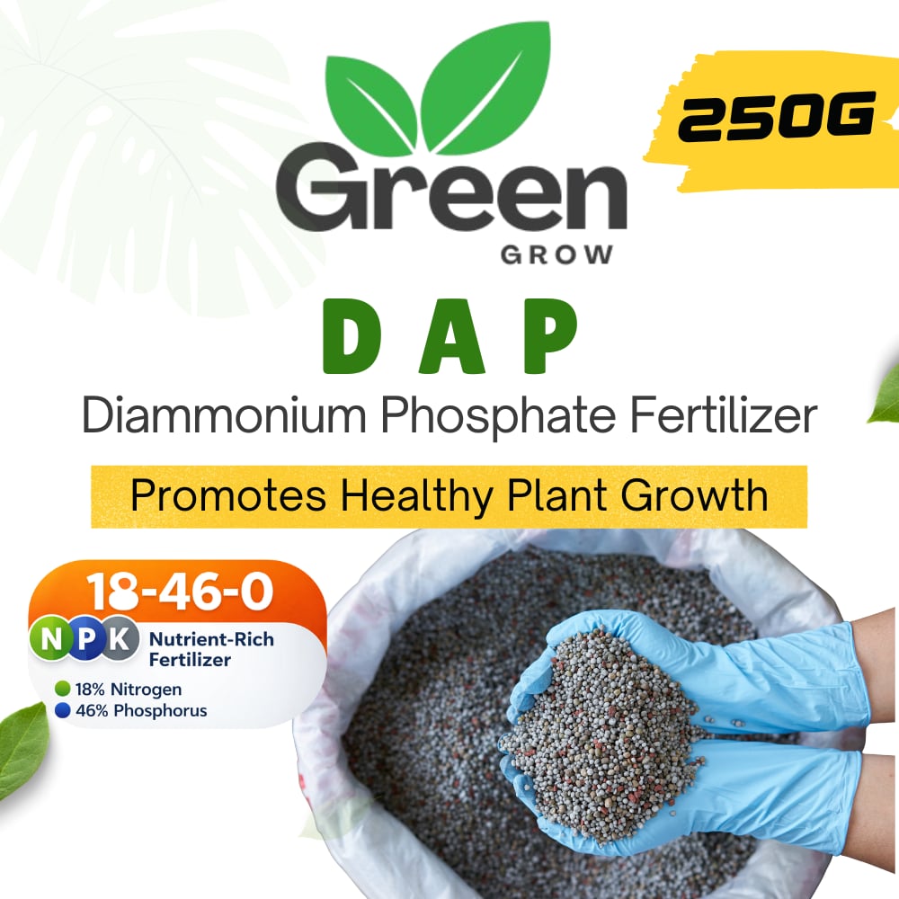 DAP Fertilizer | Phosphorus Fertilizer | Plant Food | Plant Fertilizer