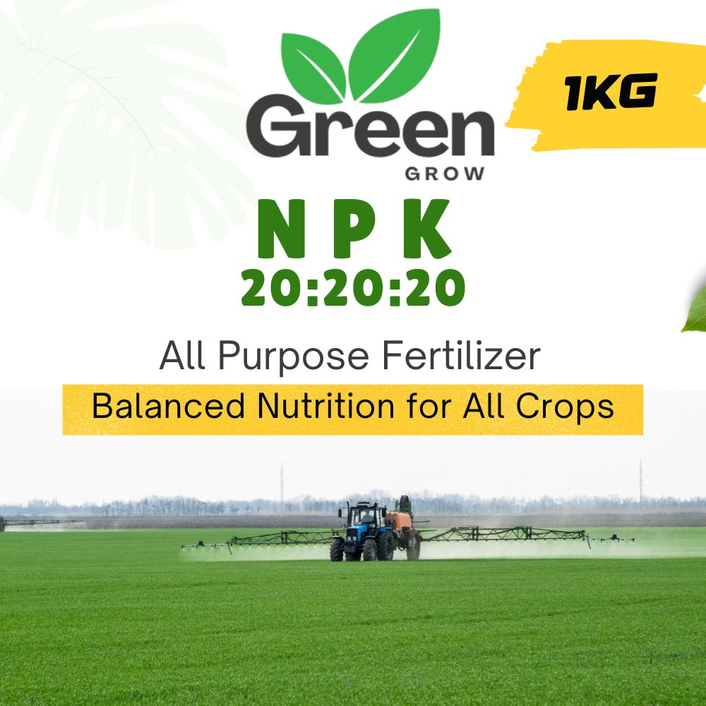 NPK 20-20-20 | Complete Balanced Fertilizer for Fast Growth, Strong Roots & Higher Yield