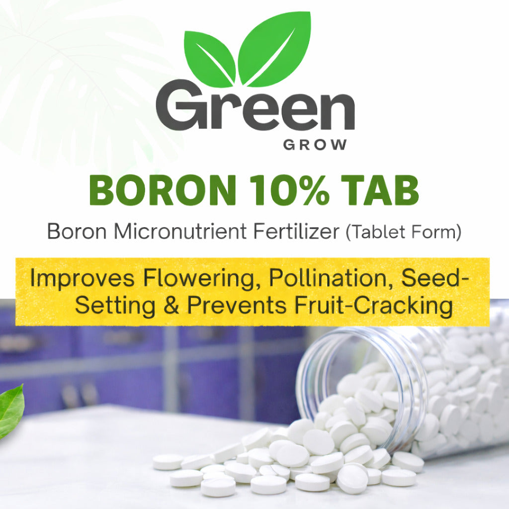 Boron 10% Tablets 10g – Water Soluble Micronutrient Fertilizer for Flowering & Fruit Setting | Corrects Boron Deficiency in Plants