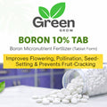 Boron 10% Tablets 10g – Water Soluble Micronutrient Fertilizer for Flowering & Fruit Setting | Corrects Boron Deficiency in Plants