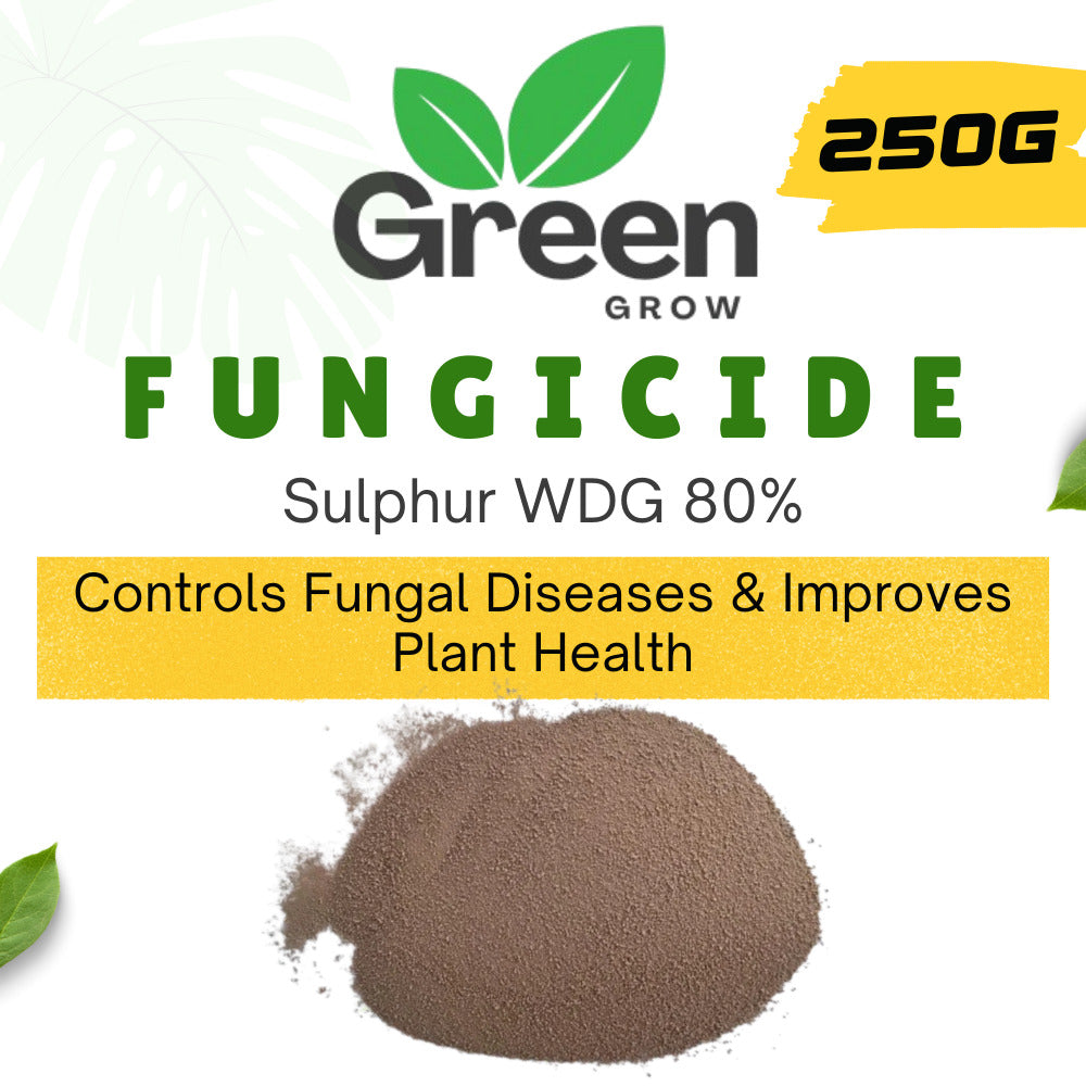 Sulphur WDG 80% Fungicide | Water Dispersible Granules | Powdery Mildew & Mite Control