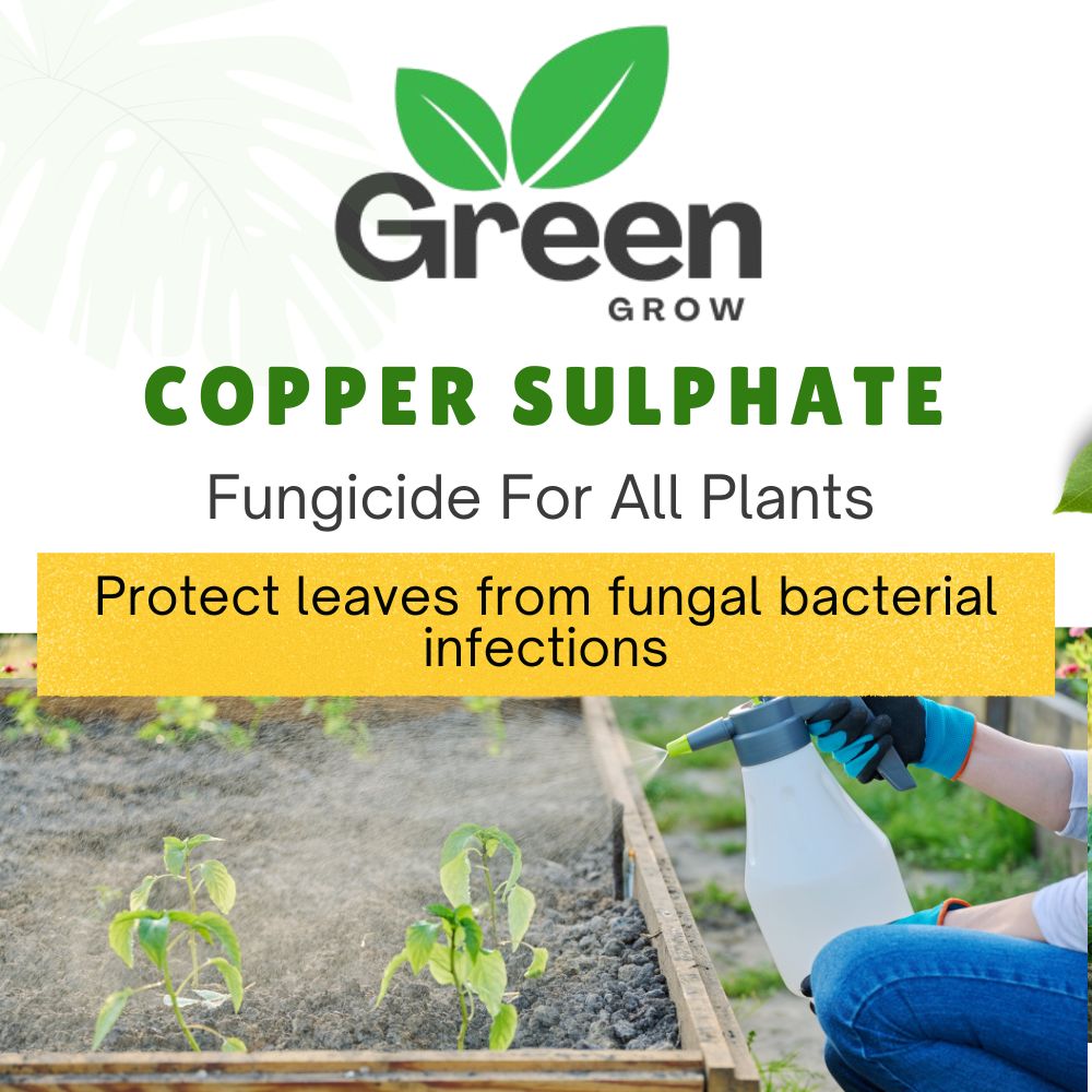 Copper Sulphate Fungicide | Neela Thotha | Broad-Spectrum Fungicide for Crops & Plants