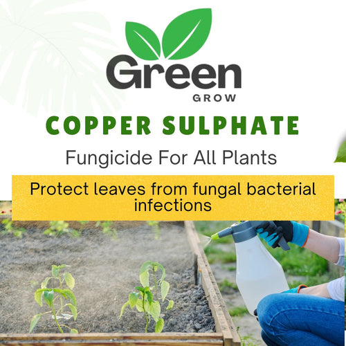 Copper Sulphate Fungicide | Neela Thotha | Broad-Spectrum Fungicide for Crops & Plants