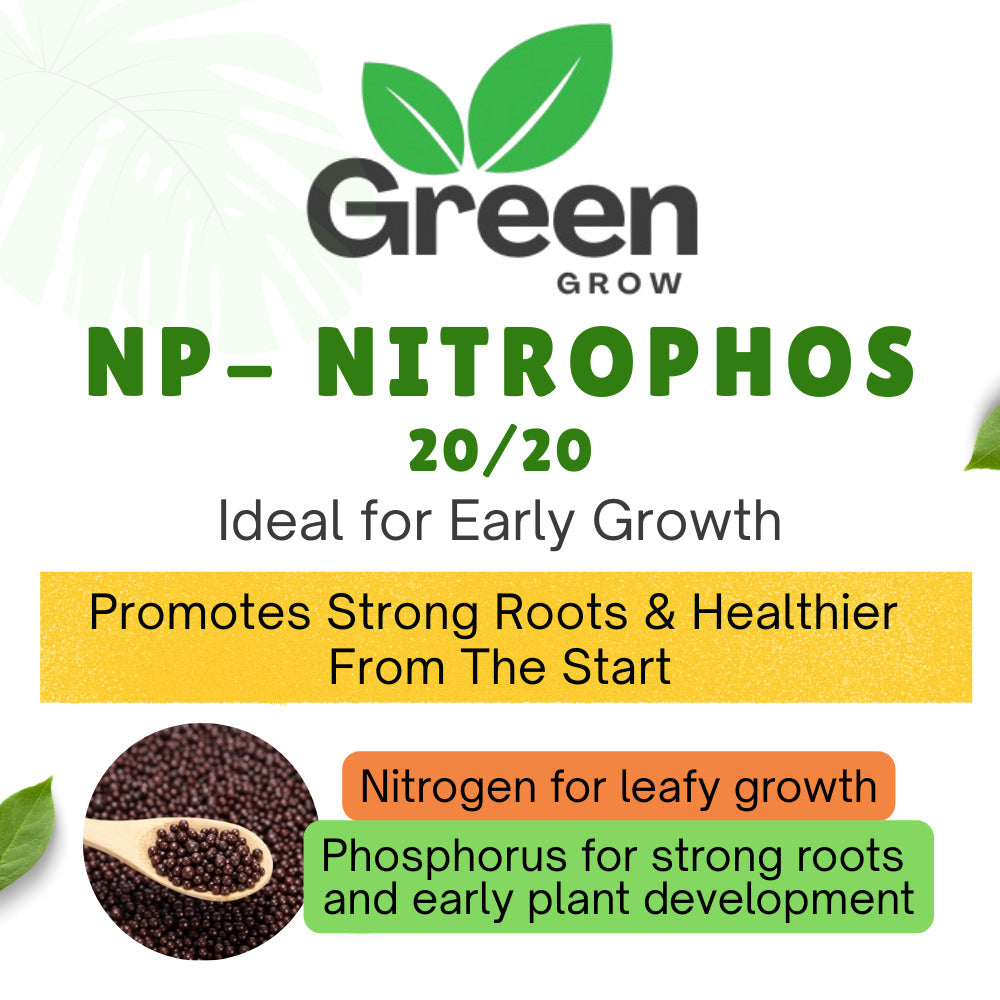 NP Nitrophos Fertilizer | Nitrogen & Phosphorus Based Granular Fertilizer | Strong Roots & Early Growth