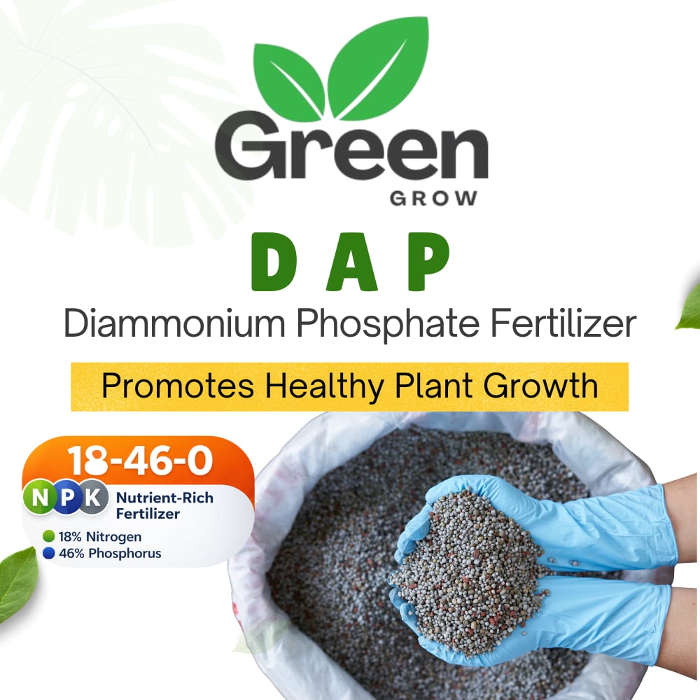 DAP Fertilizer | Phosphorus Fertilizer | Plant Food | Plant Fertilizer