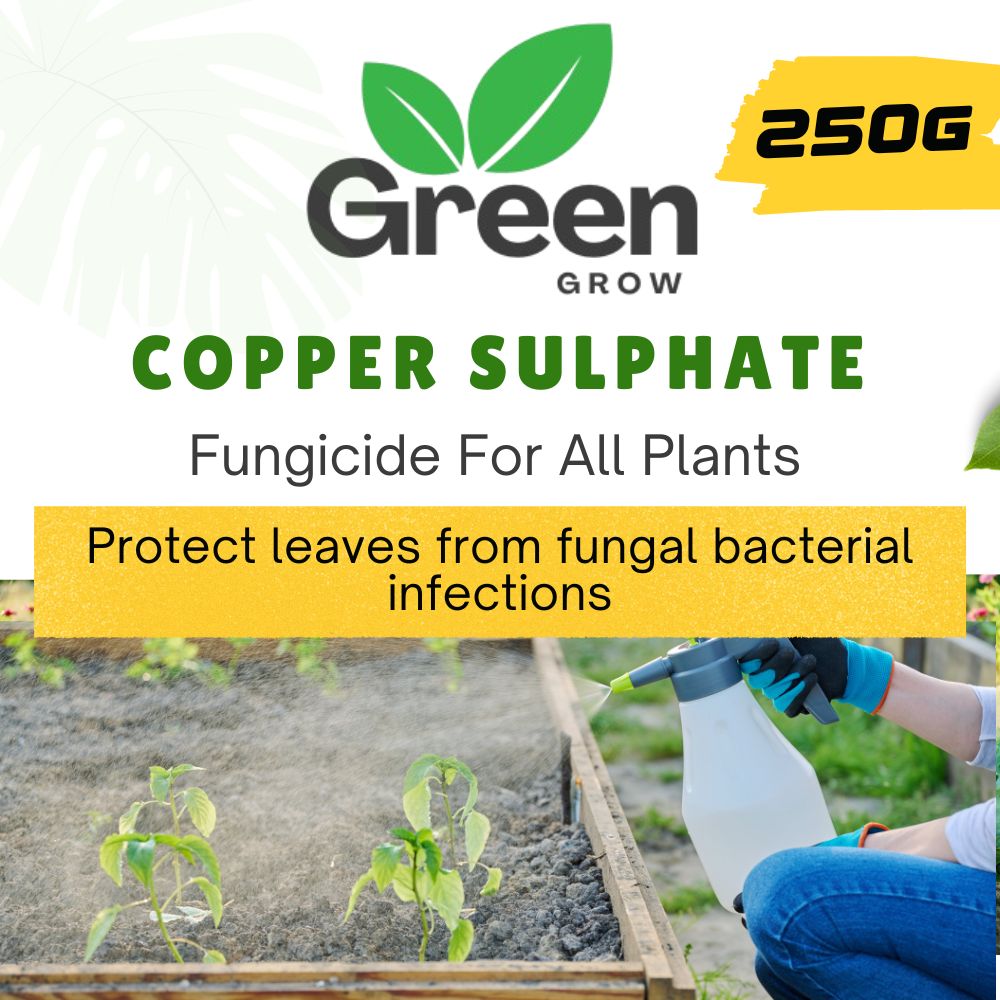 Copper Sulphate Fungicide | Neela Thotha | Broad-Spectrum Fungicide for Crops & Plants