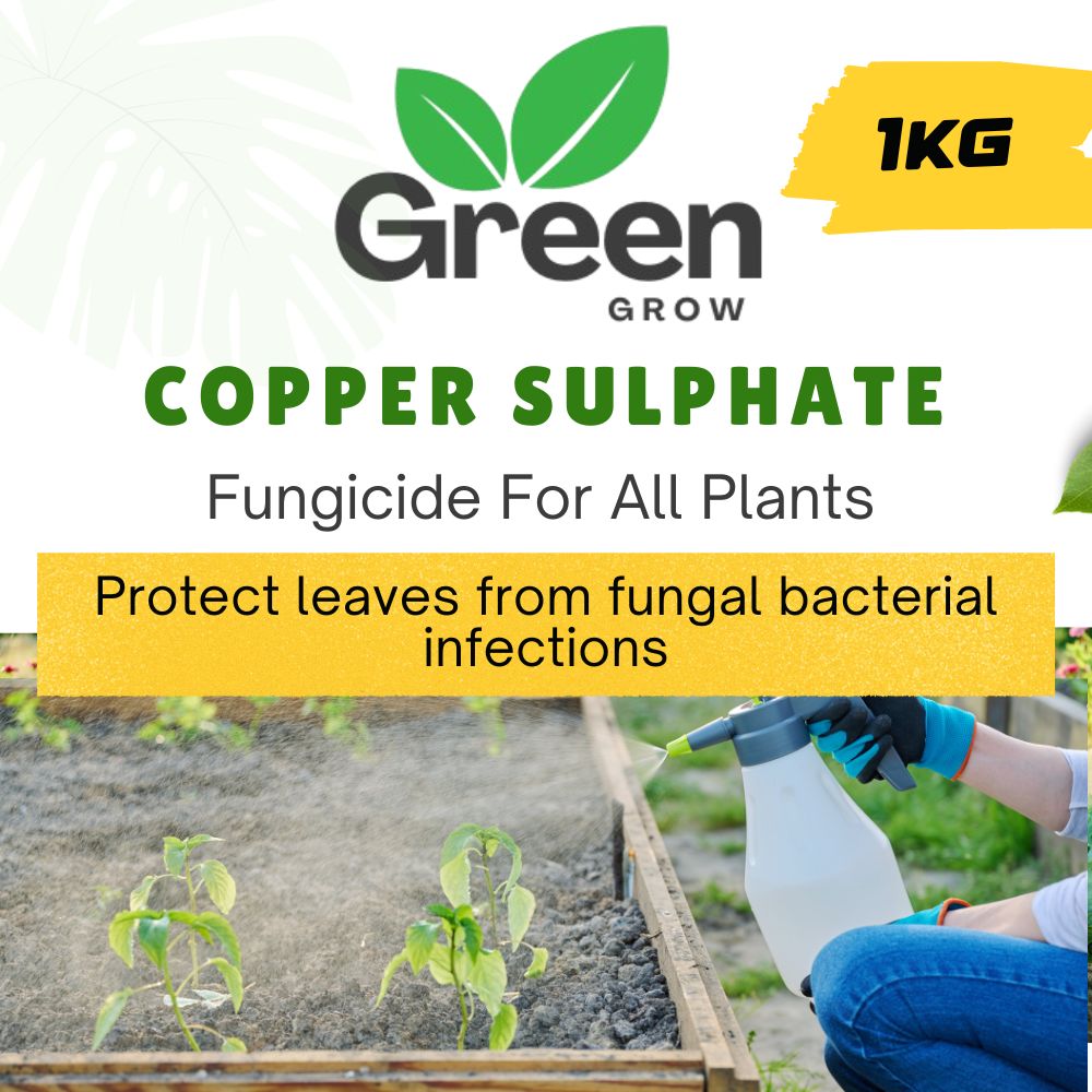 Copper Sulphate Fungicide | Neela Thotha | Broad-Spectrum Fungicide for Crops & Plants
