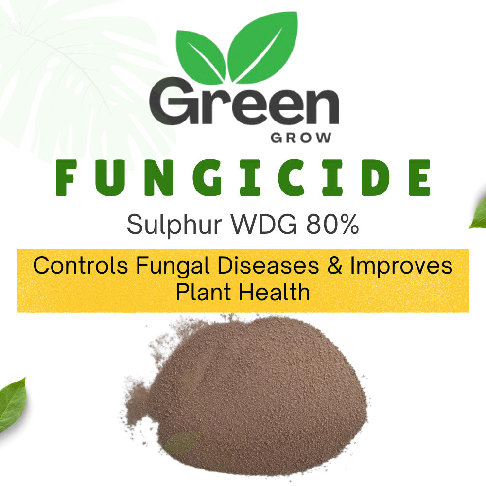 Sulphur WDG 80% Fungicide | Water Dispersible Granules | Powdery Mildew & Mite Control