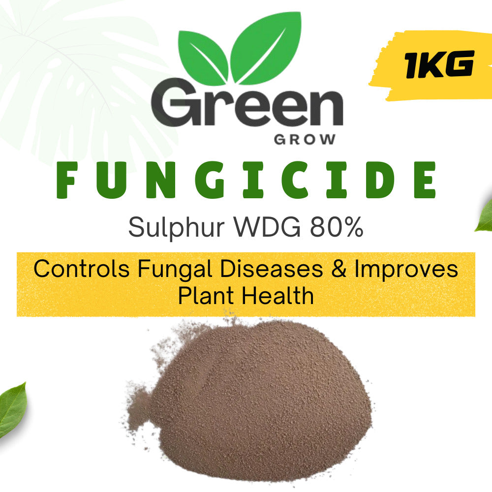 Sulphur WDG 80% Fungicide | Water Dispersible Granules | Powdery Mildew & Mite Control